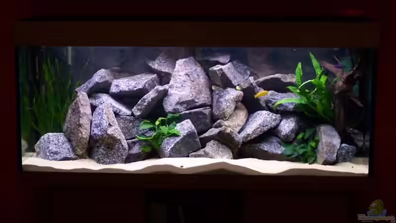 Malawibecken Malawibecken