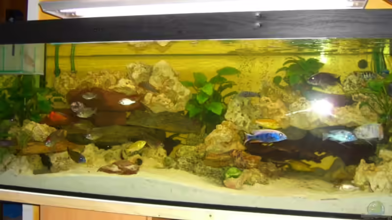 Malawie Becken Malawie Becken