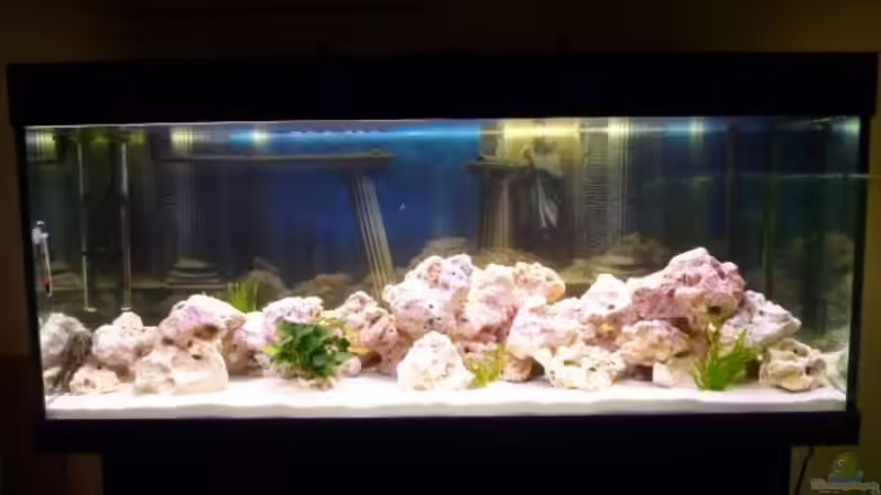 Malawiseebecken Malawiseebecken