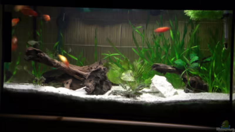 Marvin´s Aqualand aktuell Marvin´s Aqualand aktuell