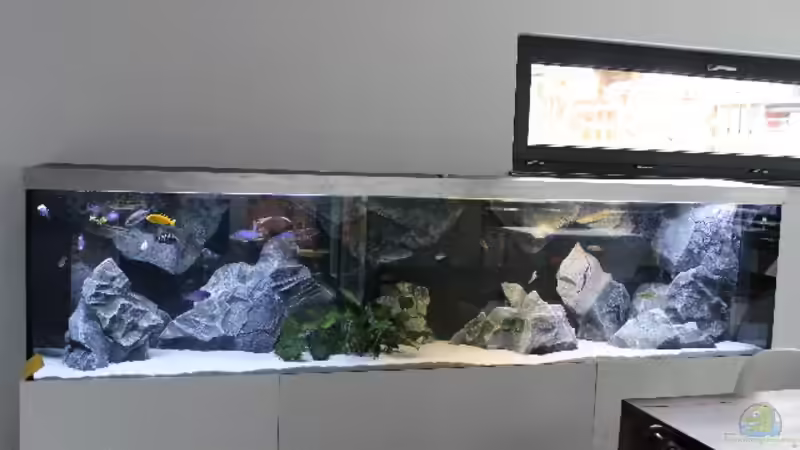 Mazinzi Reef Mazinzi Reef