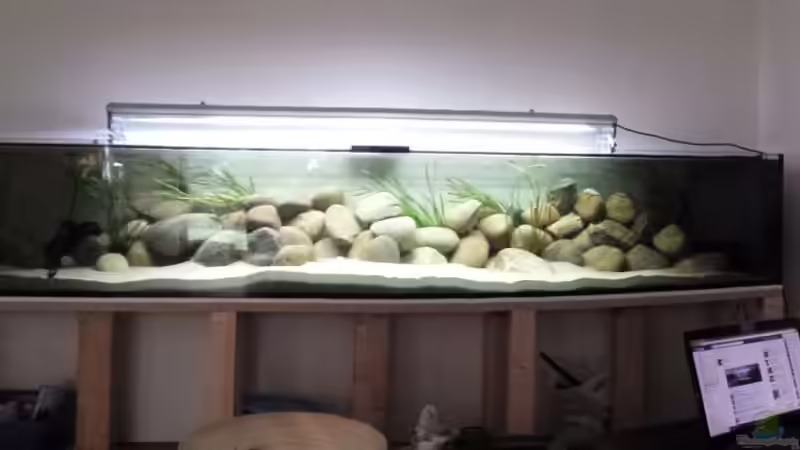 `MbunaBay` (Tag 1 der Fertigstellung des Layouts) `MbunaBay` (Tag 1 der Fertigstellung des Layouts)