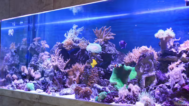 Meerwasser Meerwasser