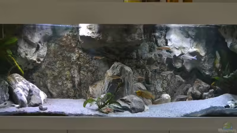 Mehr Sand als Steine 26.11.15 Mehr Sand als Steine 26.11.15