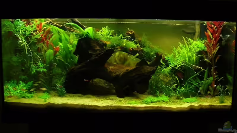 Mein 1.Versuch, Neueinrichtung Mein 1.Versuch, Neueinrichtung