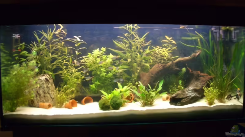 Mein 240er Hauptbild Mein 240er Hauptbild