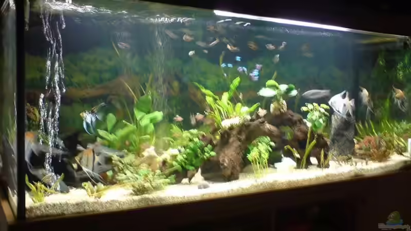 Mein 900Liter Traum wurde erfüllt! Mein 900Liter Traum wurde erfüllt!