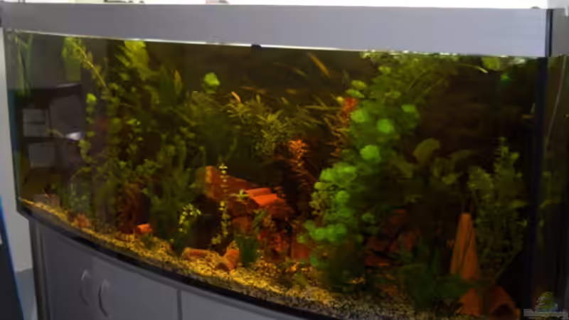 Mein Becken =) Mein Becken =)