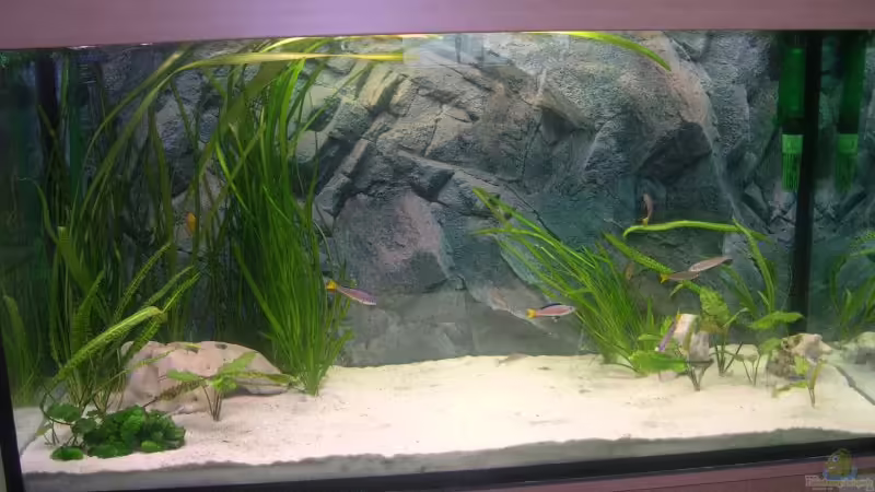 Mein Becken. Mein Becken.