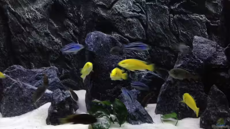 Mein Becken Mein Becken