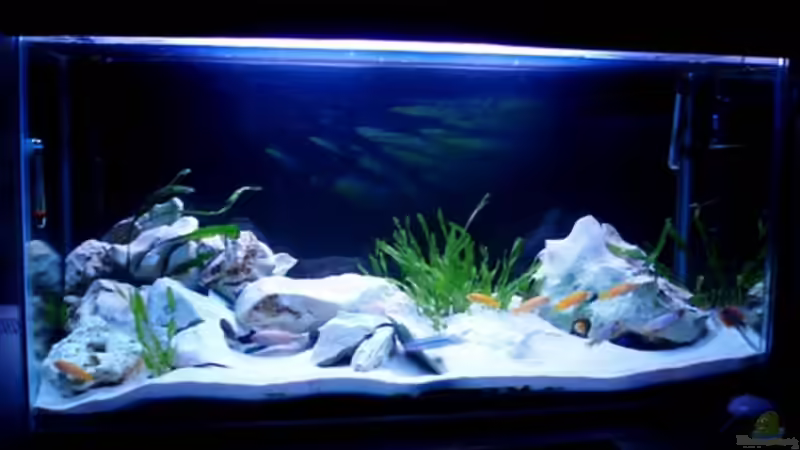 Mein Becken von vorne Mein Becken von vorne