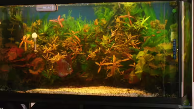 mein becken mein becken