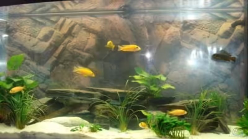 mein Becken mein Becken