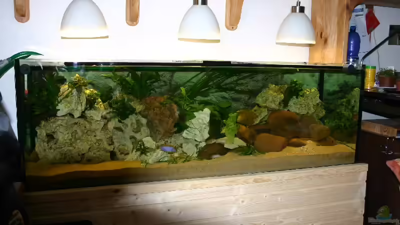 mein Becken mein Becken