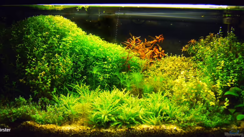 Mein Becken Mein Becken