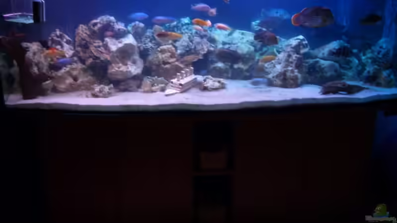 Mein Becken Mein Becken