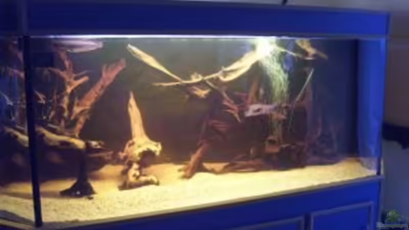 Mein Becken Mein Becken