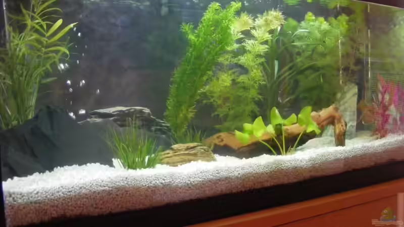 Mein Becken Mein Becken