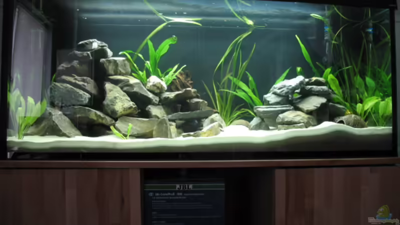 Mein Becken Mein Becken