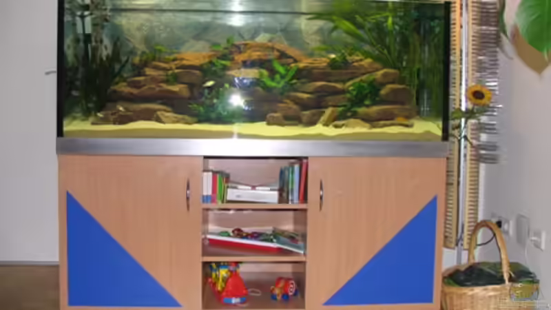 MEIN BECKEN MEIN BECKEN