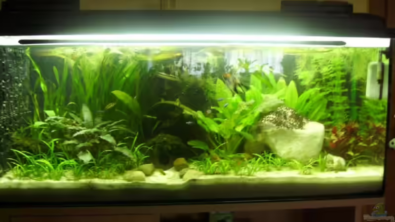 Mein Biotop.......... ;-) Mein Biotop.......... ;-)