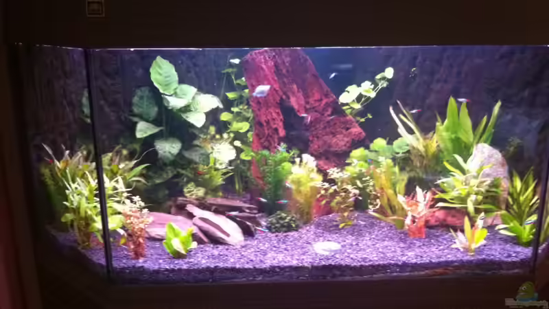 Mein Eck AQ Mein Eck AQ