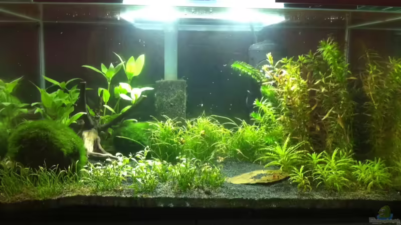 Mein erstes AQ Mein erstes AQ