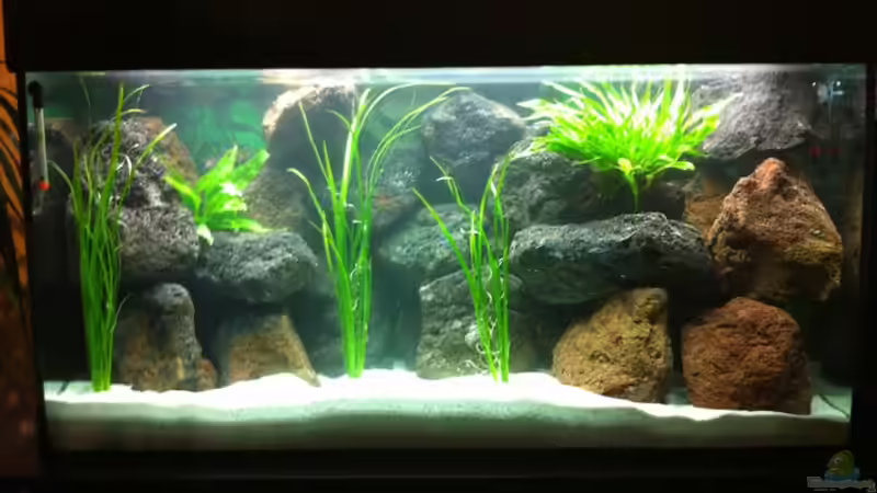 Mein erstes Becken Mein erstes Becken