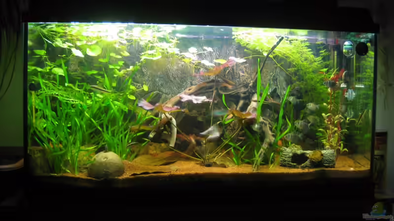 Mein Erstes Mein Erstes