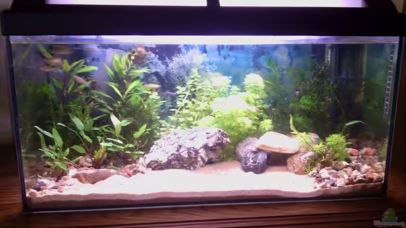 Mein Erstlingswerk Mein Erstlingswerk