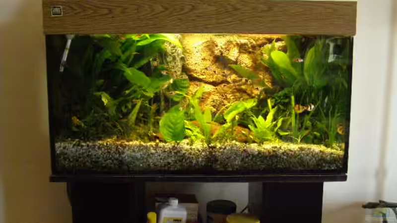 Mein gesamtes Becken Mein gesamtes Becken