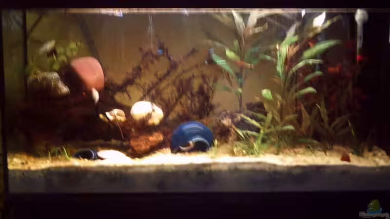 mein gro??es mein gro??es