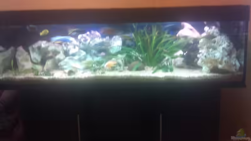 Mein Grosses Mein Grosses