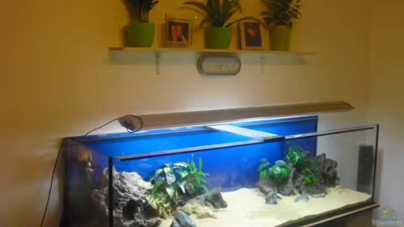 mein Hauptbecken mein Hauptbecken