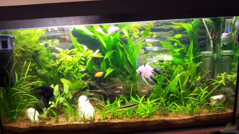 Mein Hobby!! Mein Hobby!!