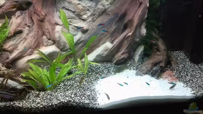 Mein kleiner Amazonas Mein kleiner Amazonas