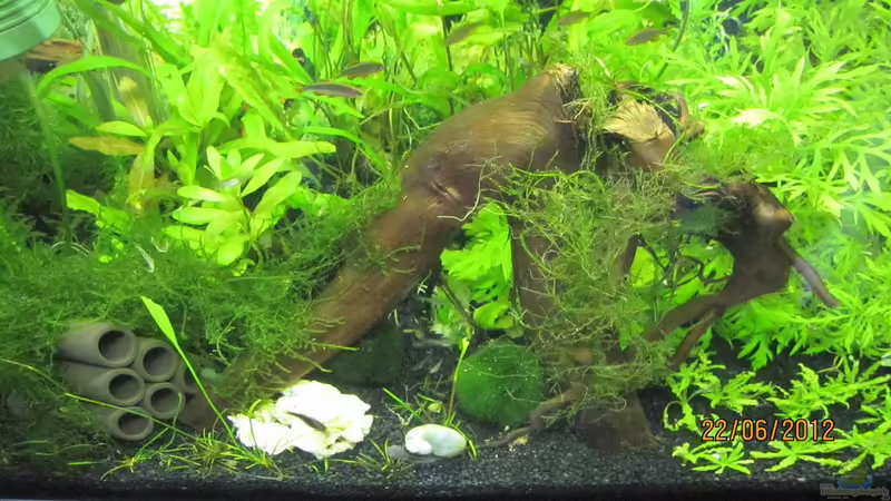 mein kleines Reich mein kleines Reich