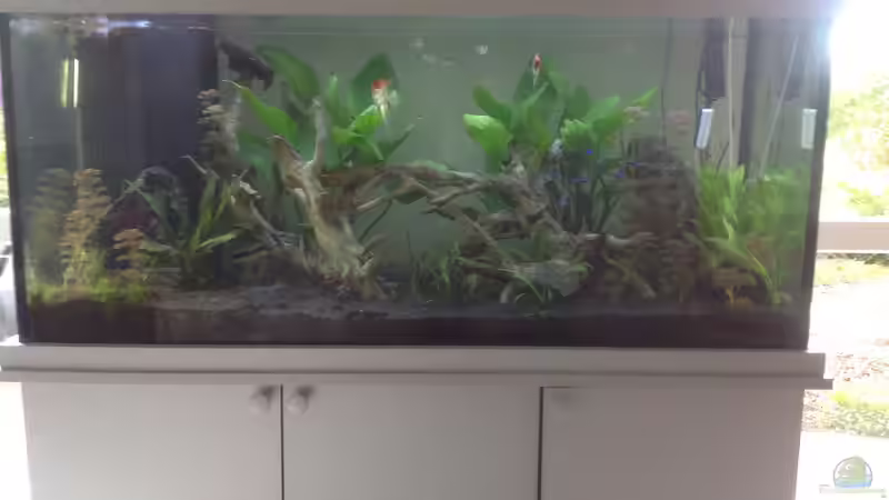 mein kleines Süd-Amerika mein kleines Süd-Amerika