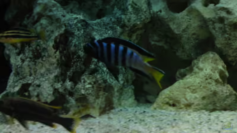 Mein Liebling ;) Mein Liebling ;)