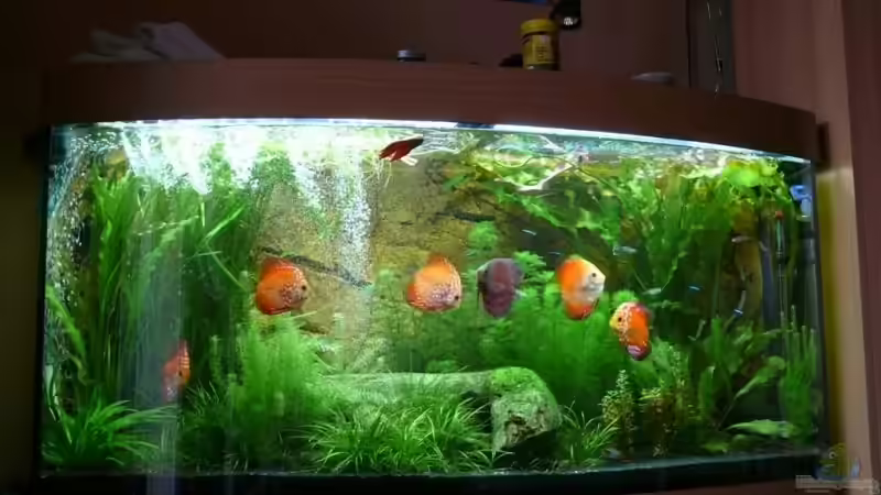 Mein Liebstes Hobby .:-))))))) Mein Liebstes Hobby .:-)))))))