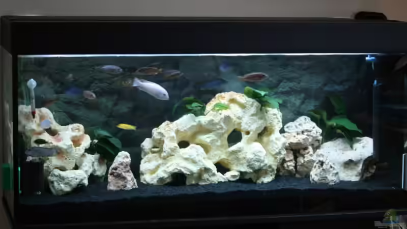 Mein Malawi von vorn Mein Malawi von vorn