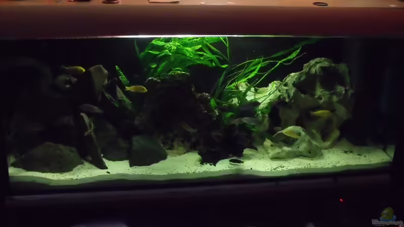 Mein Malawie Mein Malawie