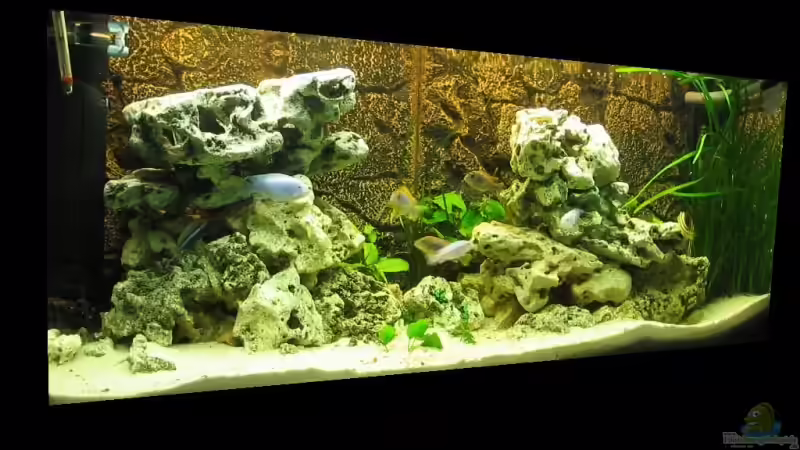 MEIN MALAWISEE... MEIN MALAWISEE...