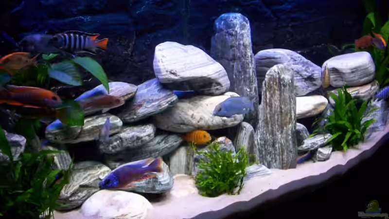 Mein Malawisee Zuhaus Mein Malawisee Zuhaus