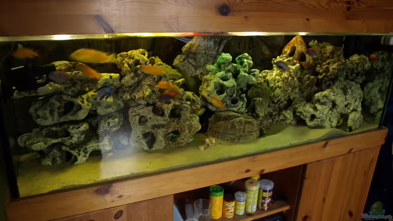 Mein Malawisee Mein Malawisee