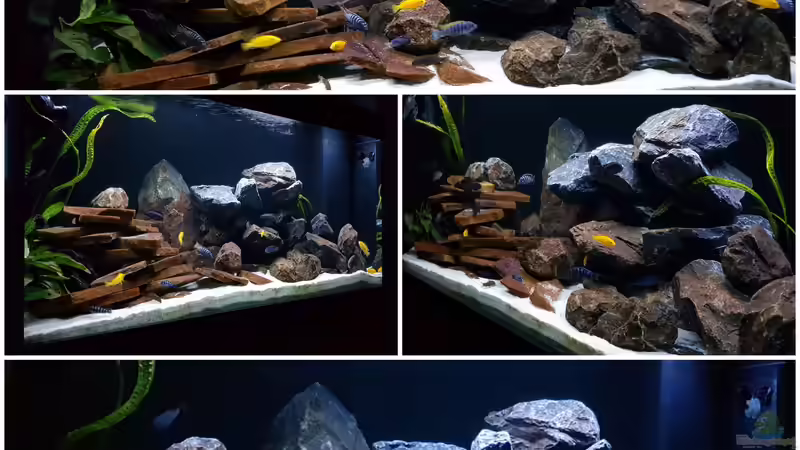 Mein Malawitraum Mein Malawitraum