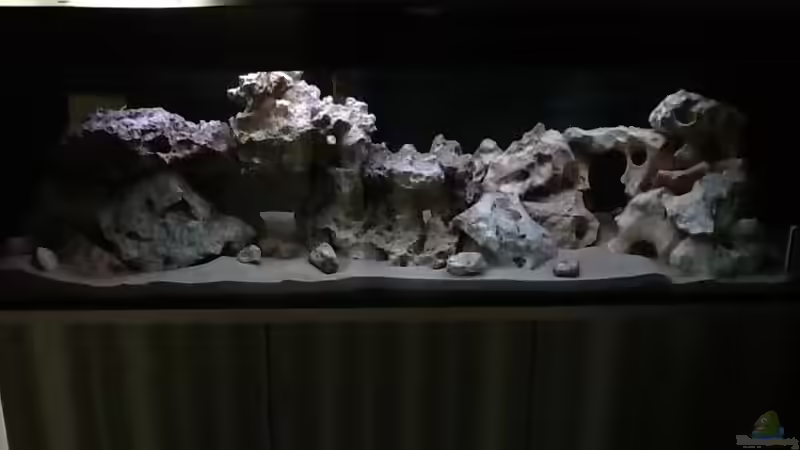 Mein Mbuna Becken Mein Mbuna Becken