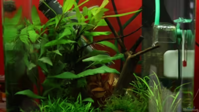 Mein Nano Cube 20 Mein Nano Cube 20