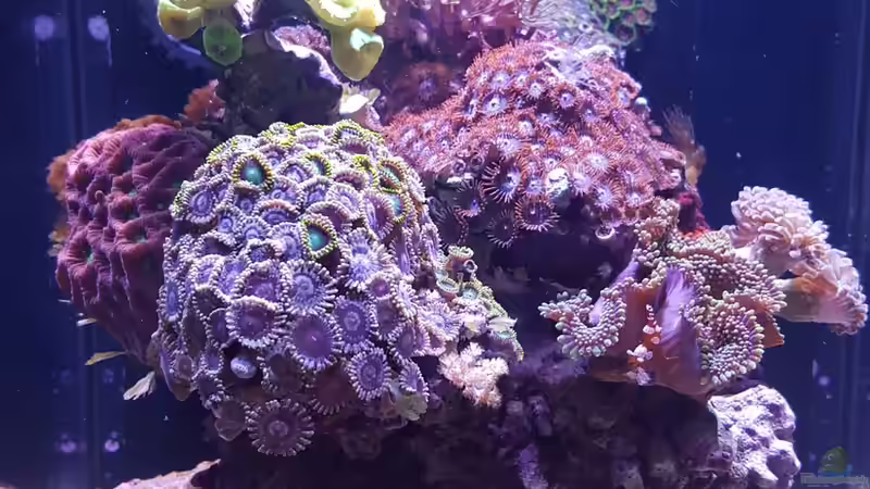 Mein Nanoriff Mein Nanoriff