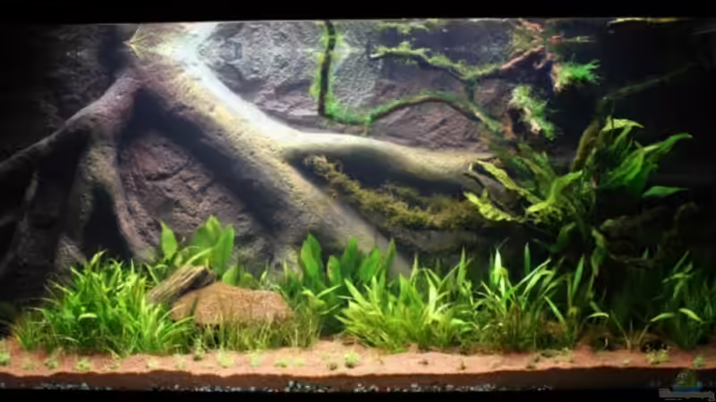 mein neues 130x50x60 ATD Friedeberg 13.06.2009 mein neues 130x50x60 ATD Friedeberg 13.06.2009